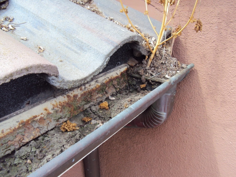 Gutter Maintenance